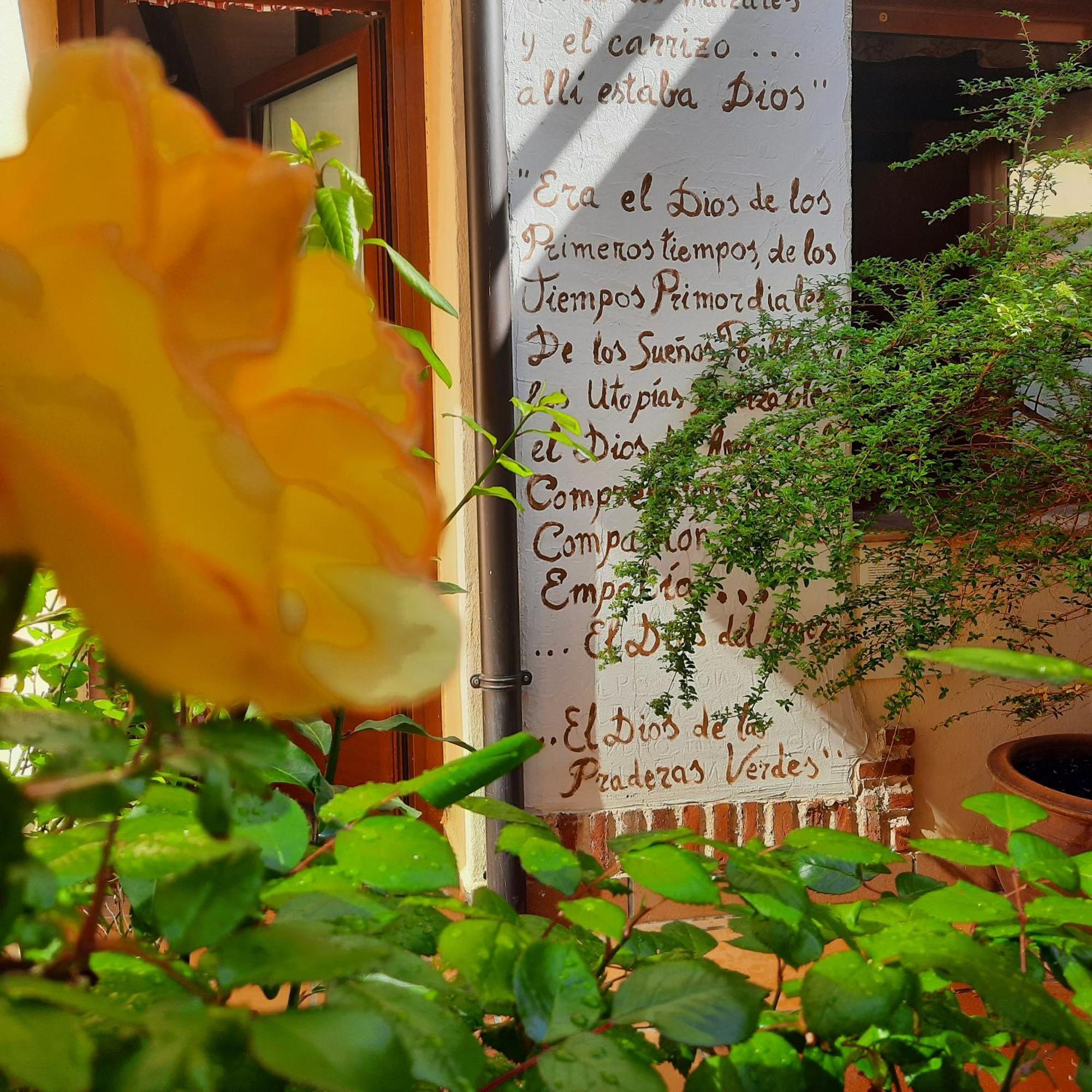 Beautiful Alamedas: casa rural con piscina Castronuno Exterior foto